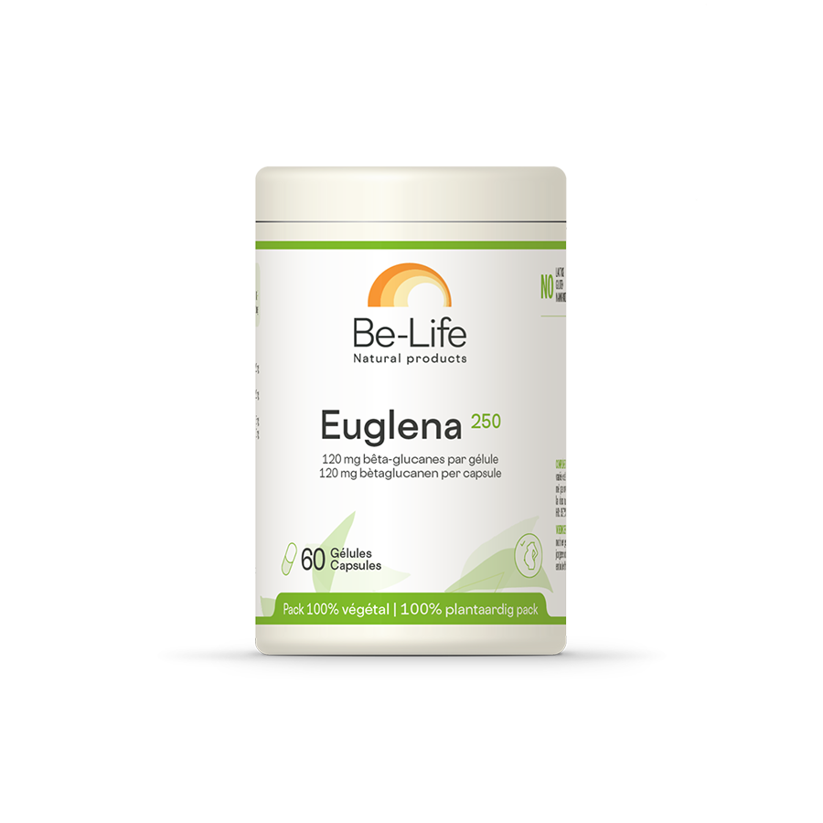 Euglena 250