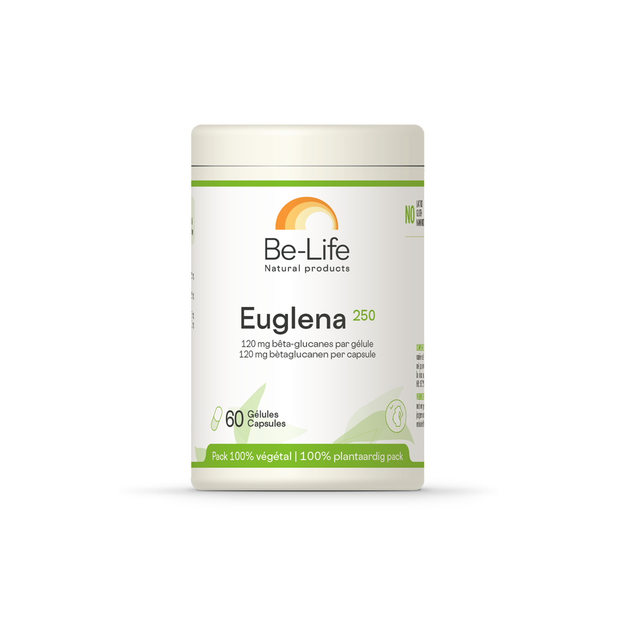 Euglena 250